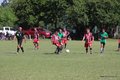 IMG_0500