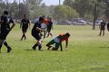IMG_0734