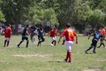IMG_0649