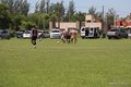 IMG_0741