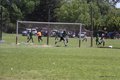 IMG_0655