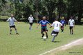 IMG_0787