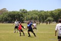 IMG_0781