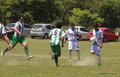 IMG_0879