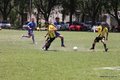 IMG_0810
