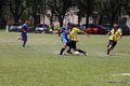 IMG_0809