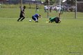 IMG_1093