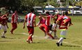 IMG_0136