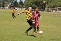 IMG_0098-001