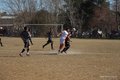 IMG_6185
