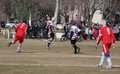 IMG_6241
