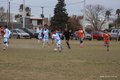 IMG_6548