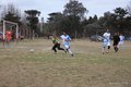 IMG_6564