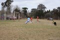 IMG_6559