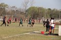 IMG_6858
