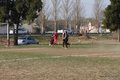 IMG_6825