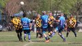 IMG_7307