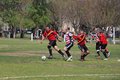 IMG_7282