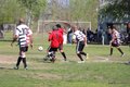 IMG_7276