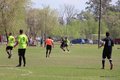 IMG_7561