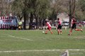 IMG_7529