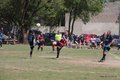 IMG_8145