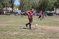 IMG_8146