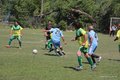 IMG_8124