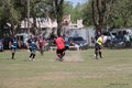 IMG_8139