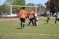 IMG_8447