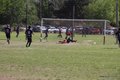 IMG_8520