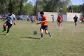IMG_8438