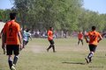IMG_8442