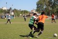 IMG_8441