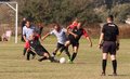 IMG_6116