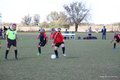 IMG_6513