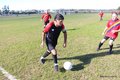 IMG_6501
