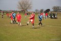 IMG_8118
