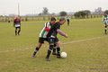 IMG_7973
