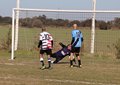 IMG_8603-001