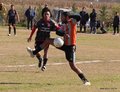 IMG_8617