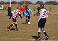 IMG_8634