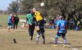 IMG_8649