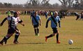 IMG_8640-001