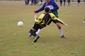 IMG_9664