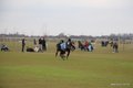 IMG_9956