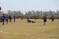 IMG_2316