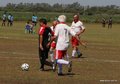 IMG_2274