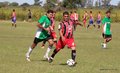 IMG_2910