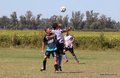 IMG_2850